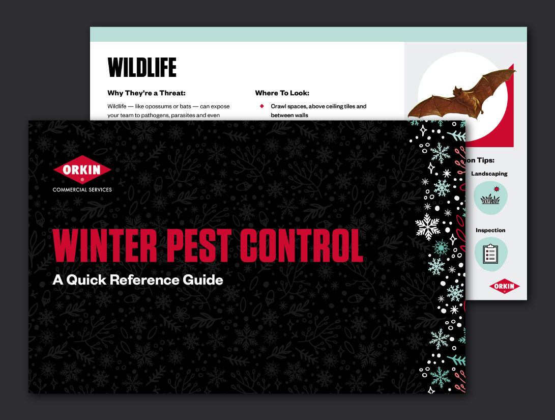 Winter Pest Control Quick Reference Guide