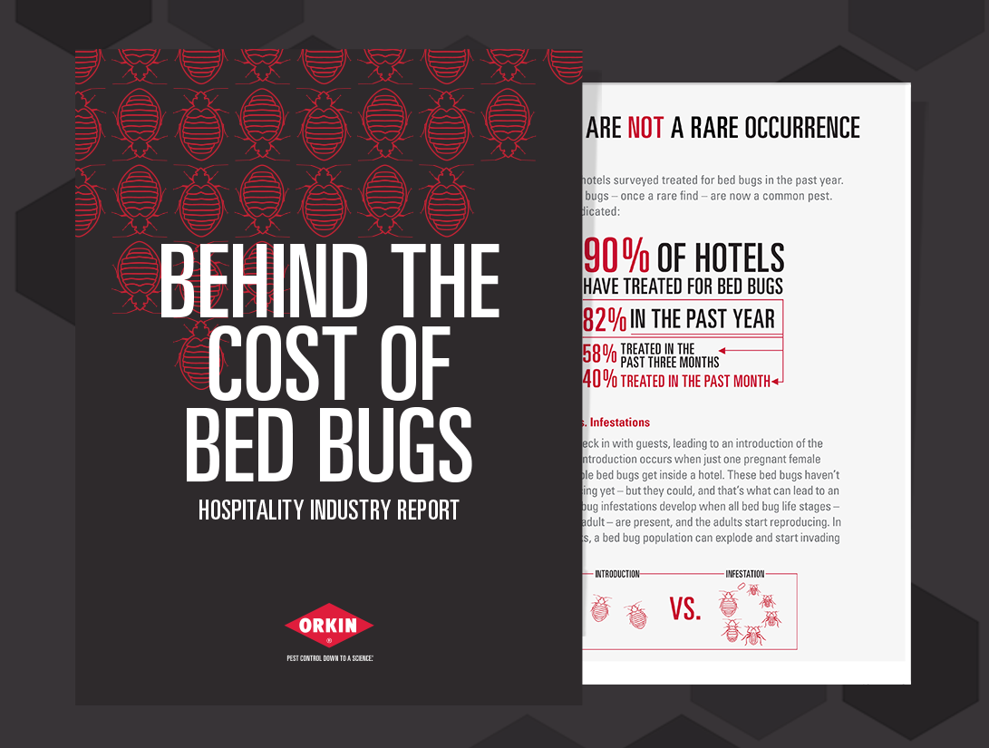 Cost-of-Bed-Bugs_Landing-Page_1091x825.png