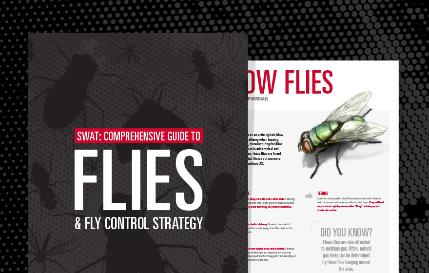 Fly-Control-Guide_Landing-Page_880x560.gif