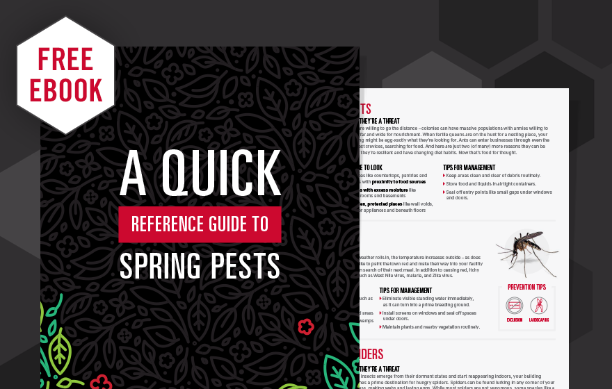 Spring-Pest-Guide_Landing-Page_880x560.png